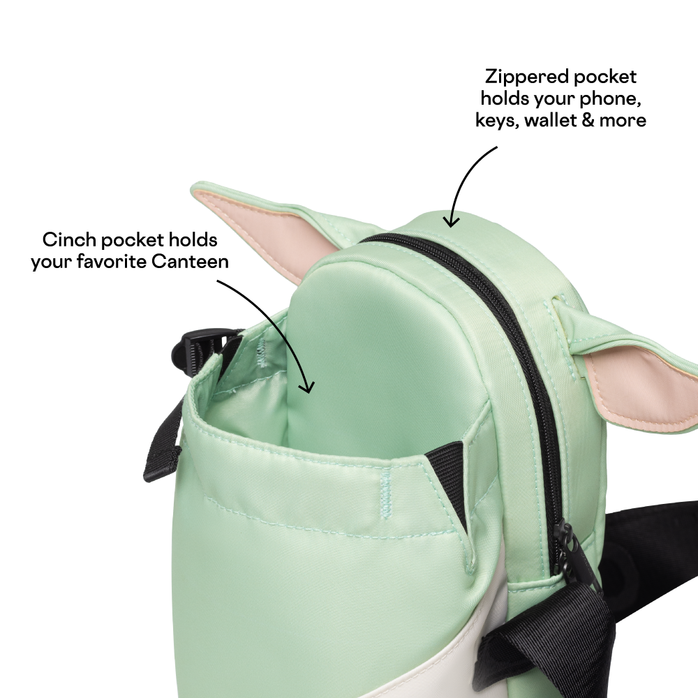 disney-sling-d3 53593b3e49e2--Sling-PDP-4.png