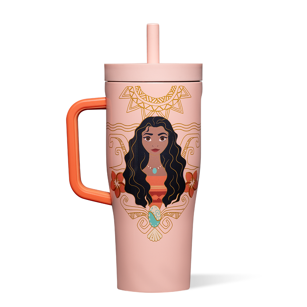 disney-princess-leakproof-cruiser-f6 DIS2222DP-M-01.png