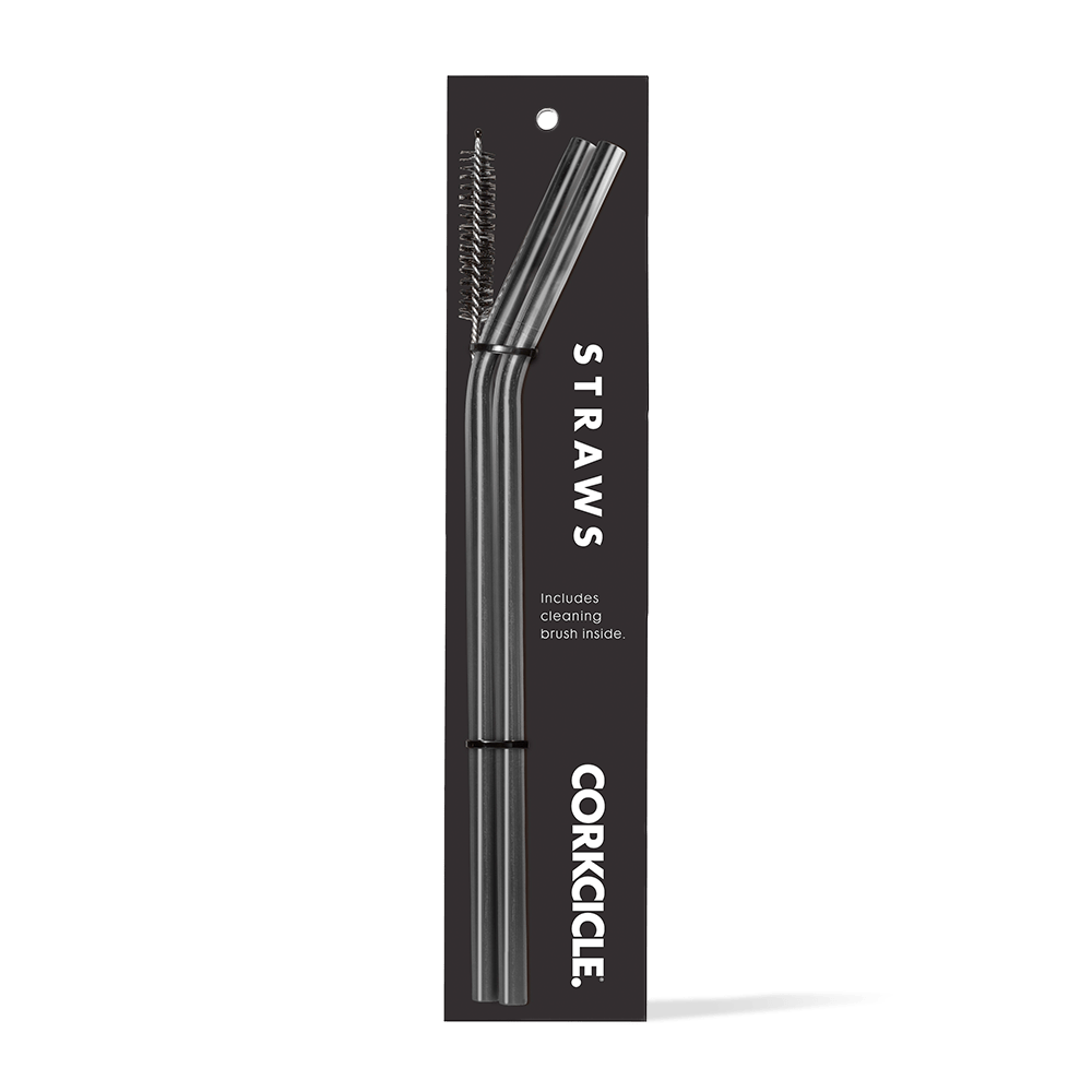 tumbler-straw-2-pack-q3 gunmetal.png